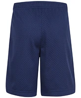 Nike Little Boys Mesh Shorts