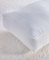 Beyond Down Side Sleeper 2 Pack Pillows Collection