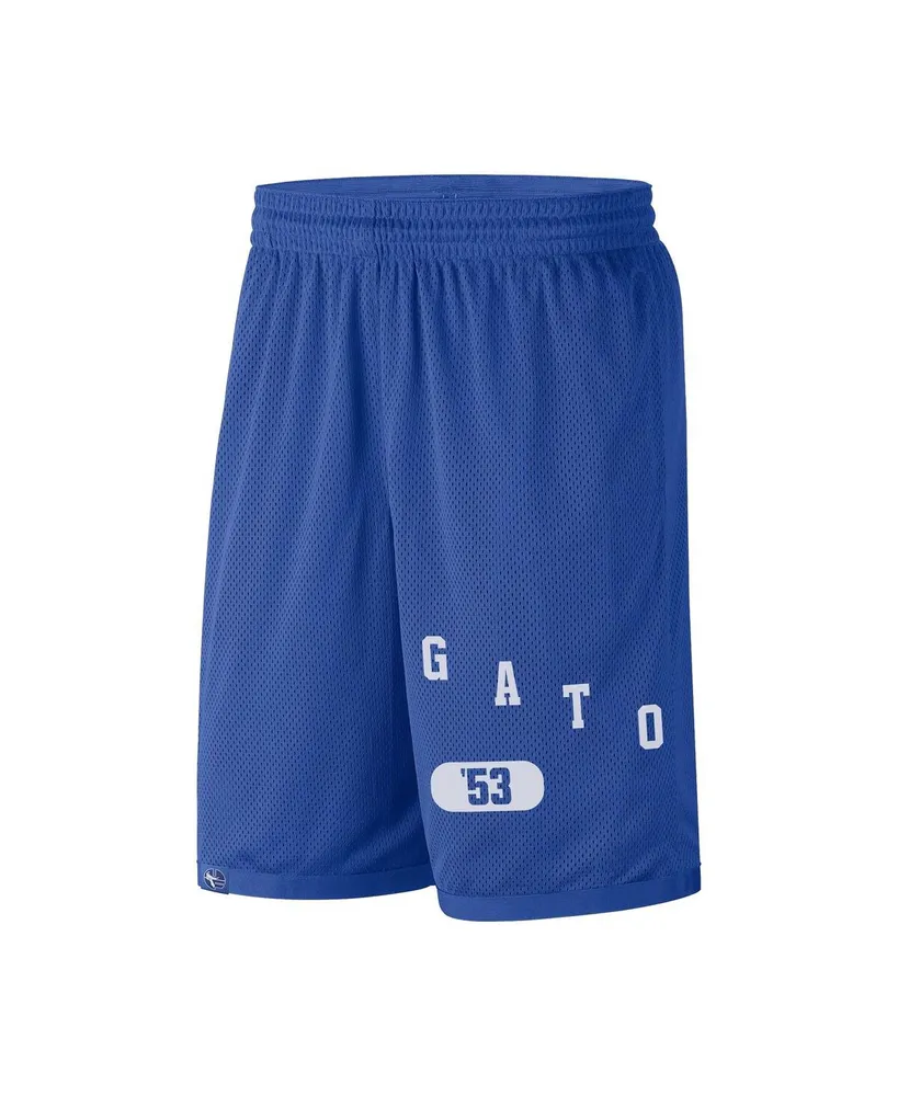 Men's Nike Royal Florida Gators Wordmark Performance Shorts