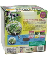 Unique Gardener Glass Terrarium Crystal Glass Garden Plant Kit