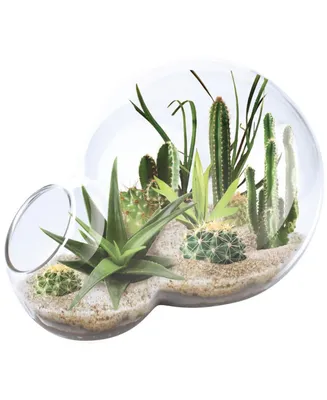 Unique Gardener Double Sphere Glass Terrarium Desert Escape Growarium Plant Kit