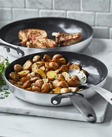 GreenPan Venice Pro Noir Tri-Ply Stainless Steel 2 Piece Nonstick Frying Pan Set