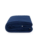 Saturday Park Navy Reversible Quilt - Full/Queen