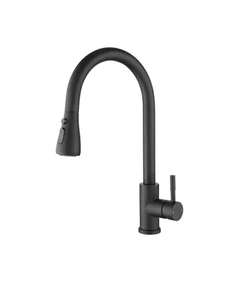 Streamdale Furniture Kitchen Faucet with Pull Out Sprayer