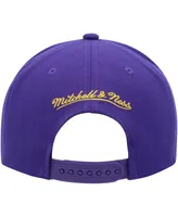 Men's Mitchell & Ness Purple Los Angeles Lakers Paint By Numbers Snapback Hat