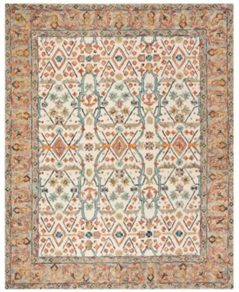 Safavieh Aurora Apn308 Area Rug