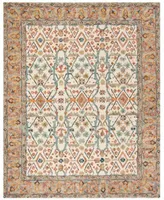 Safavieh Aurora Apn308 Area Rug