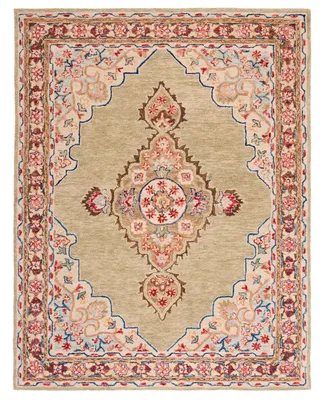 Safavieh Aurora APN506 6' x 9' Area Rug