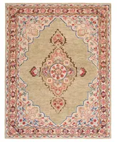 Safavieh Aurora APN506 6' x 9' Area Rug