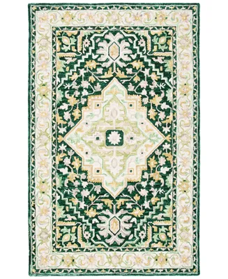 Safavieh Aurora APN705 3' x 5' Area Rug