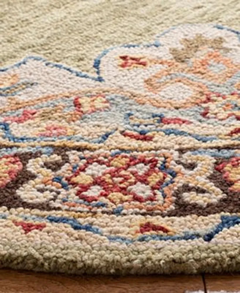 Safavieh Aurora Apn506 Area Rug