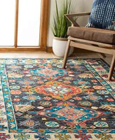 Safavieh Aurora APN521 11' x 15' Area Rug