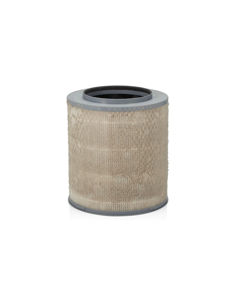 Clorox Medium Room True High Efficiency Particulate Air (Hepa) Air Purifier Replacement Filter