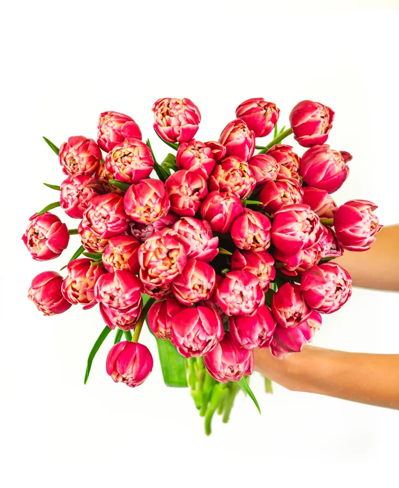 BloomsyBox Pink Peony Tulips Fresh Flower Bouquet
