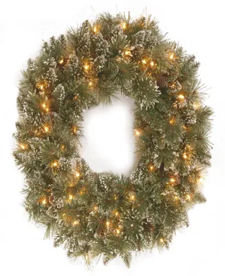 National Tree Company 24" Glittery Bristle Pine Wreath with Twinkly Led Lights