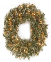 National Tree Company 24" Glittery Bristle Pine Wreath with Twinkly Led Lights