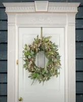 National Tree Company First Traditions Collection, 30" Artificial North Conway Wreath with Glittery Cones and Eucalyptus, 100 Warm White Led Lights