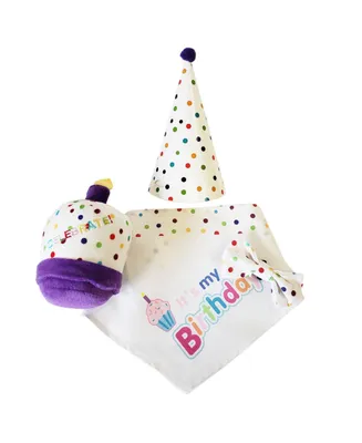4-piece Dog Birthday Kit: Bandana, Hat, Bow Tie, Plush Toy