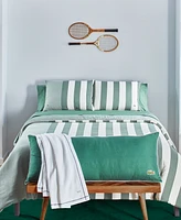 Lacoste Home Serve Body Pillow, 20" x 52"