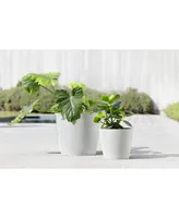 Ecopots Amsterdam Modern Round Planter with Water Reservoir