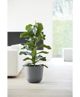 Ecopots Oslo Indoor and Outdoor Modern Planter, 14in