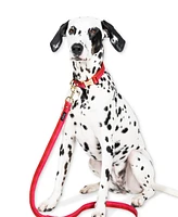 Kate Spade New York Red & Pink Dog Leash