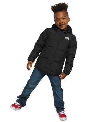 The North Face Toddler & Little Boys North Down Hooded Jacket