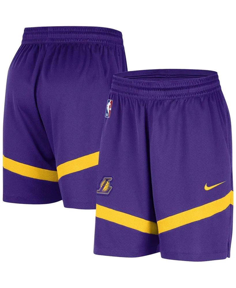 Men's Nike Purple Los Angeles Lakers On-Court Practice Warmup