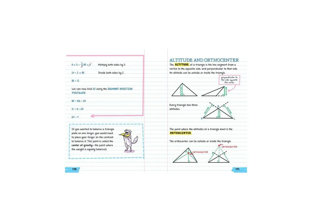 Everything You Need to Ace Geometry in One Big Fat Notebook by Workman Publishing