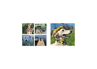 Dogwinks- True Godwink Stories of Dogs and the Blessings They Bring by SQuire Rushnell