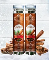 National Tree Company Scentsicles, Scented Ornaments, 6 Count Bottles, 2 Dashes of Cinnamon, Fragrance-Infused Paper Sticks, 2 Pack Set