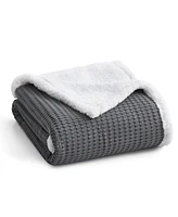 Levtex Mills Waffle Quilted Throw, 50" x 60"