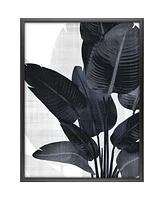 Palm Noir I Framed Art From The Bode and Well Collection By Angeal Harris