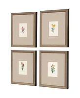 Western Wildflower Framed Art, Set of 4