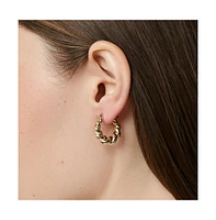 Ana Luisa Twisted Hoop Earrings - Paris