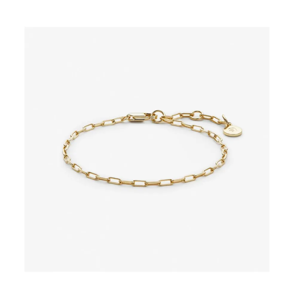 Ana Luisa Link Chain Bracelet - Poetry Slim