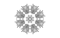 Mandala Meditation Coloring Book by Union Square & Co.