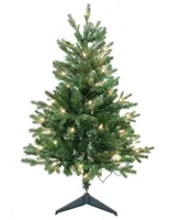 Kurt Adler 3' Pre-Lit Clear Incandescent Jackson Pine Tree