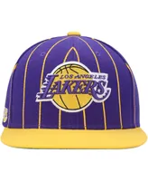 Men's Mitchell & Ness Purple, Gold Los Angeles Lakers Hardwood Classics Pinstripe Snapback Hat