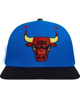 Men's Pro Standard Royal Chicago Bulls Any Condition Snapback Hat