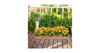 Wooden Decorative Planter Box for Garden Yard and Window