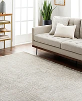 Livabliss Masterpiece High-Low Mpc-2308 2'8" x 3'11" Area Rug