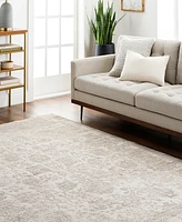 Livabliss Masterpiece High-Low Mpc-2300 2'8" x 3'11" Area Rug