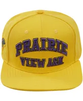 Men's Pro Standard Gold Prairie View A&M Panthers Evergreen Prairie View Snapback Hat