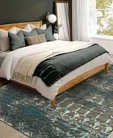 Addison Bravado Outdoor Washable ABV38 3' x 5' Area Rug