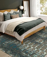 Addison Bravado Outdoor Washable ABV38 9' x 12' Area Rug