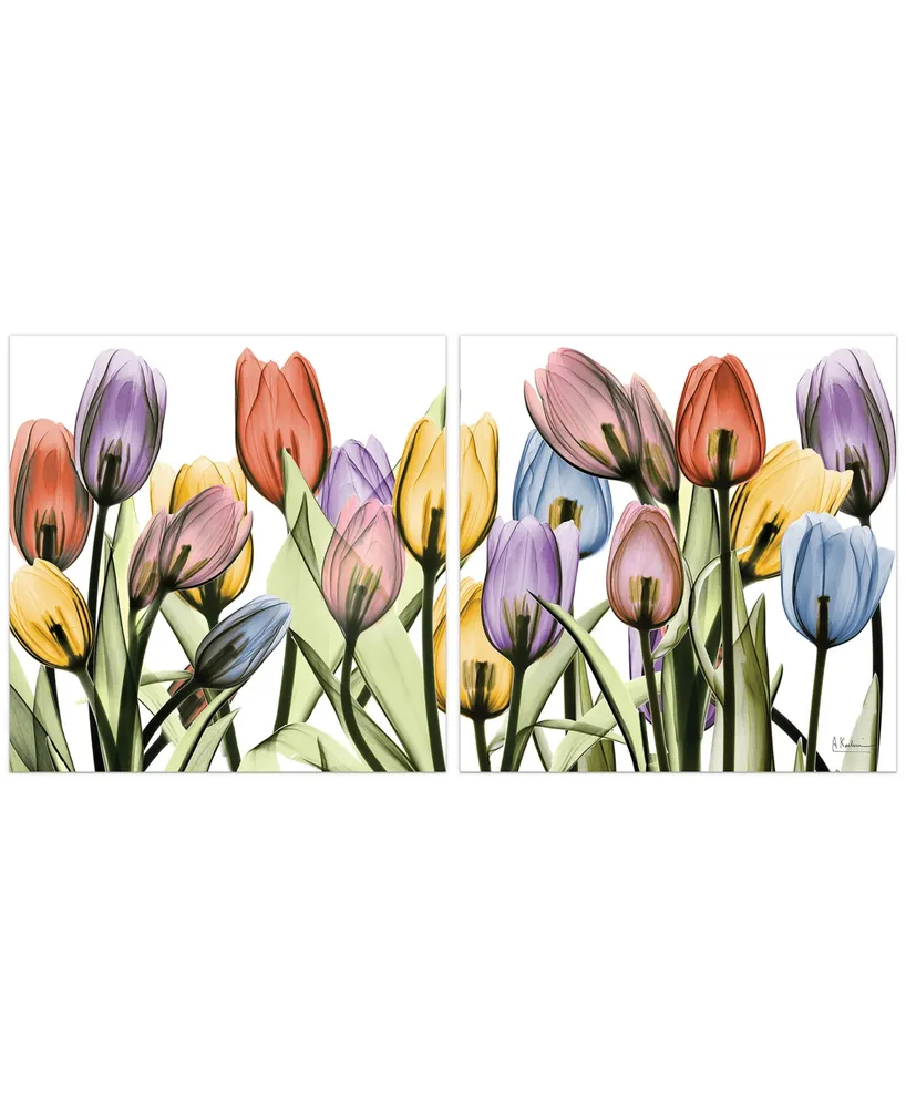 Empire Art Direct TuLIp Scape X-Ray I Ii Frameless Free Floating Tempered Glass Panel Graphic Wall Art, 24" x 24" x 0.2" Each - Multi