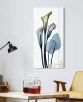 Empire Art Direct "CaLIa LIly" Frameless Free Floating Tempered Glass Panel Graphic Wall Art, 48" x 24" x 0.2"