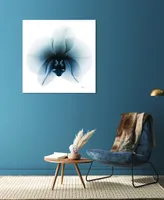 Empire Art Direct "Glacial Orchid" Frameless Free Floating Tempered Glass Panel Graphic Wall Art, 38" x 38" x 0.2"