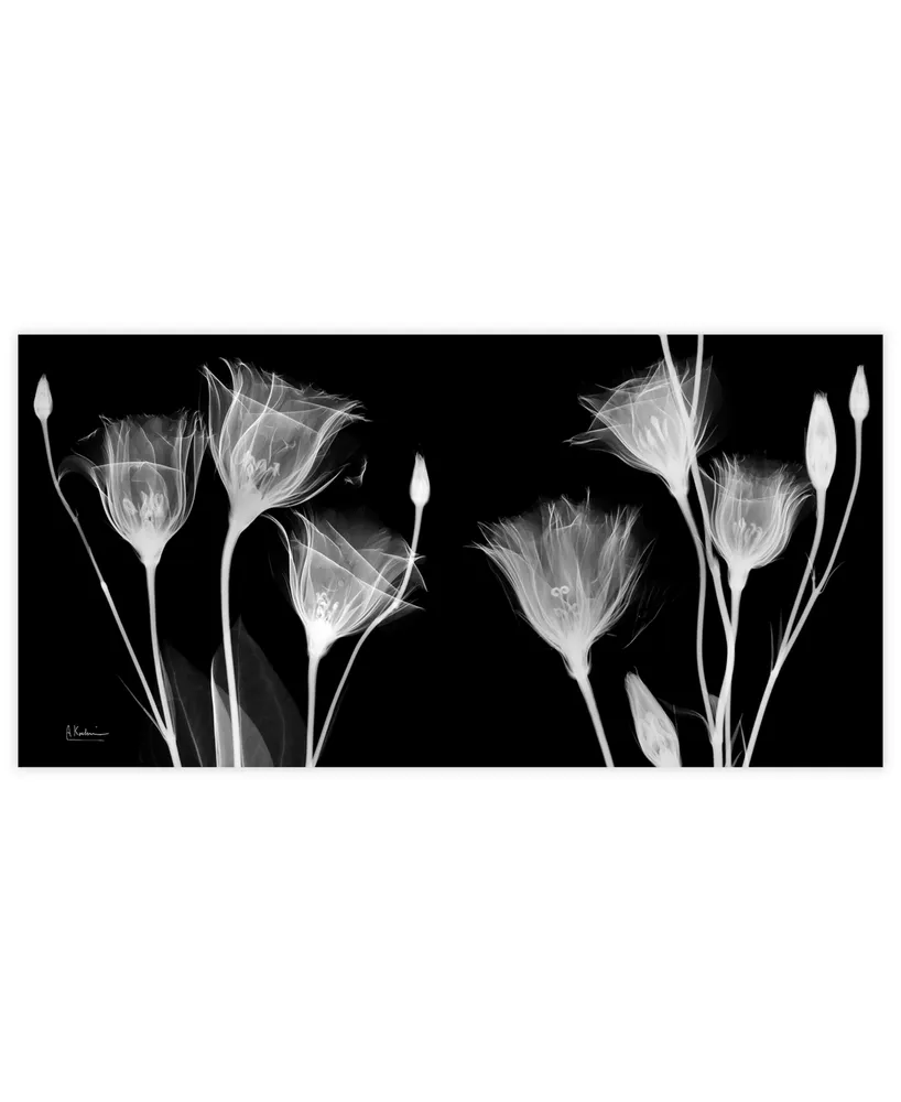 Empire Art Direct "Gentian X-Ray" Frameless Free Floating Tempered Glass Panel Graphic Wall Art, 24" x 48" x 0.2"